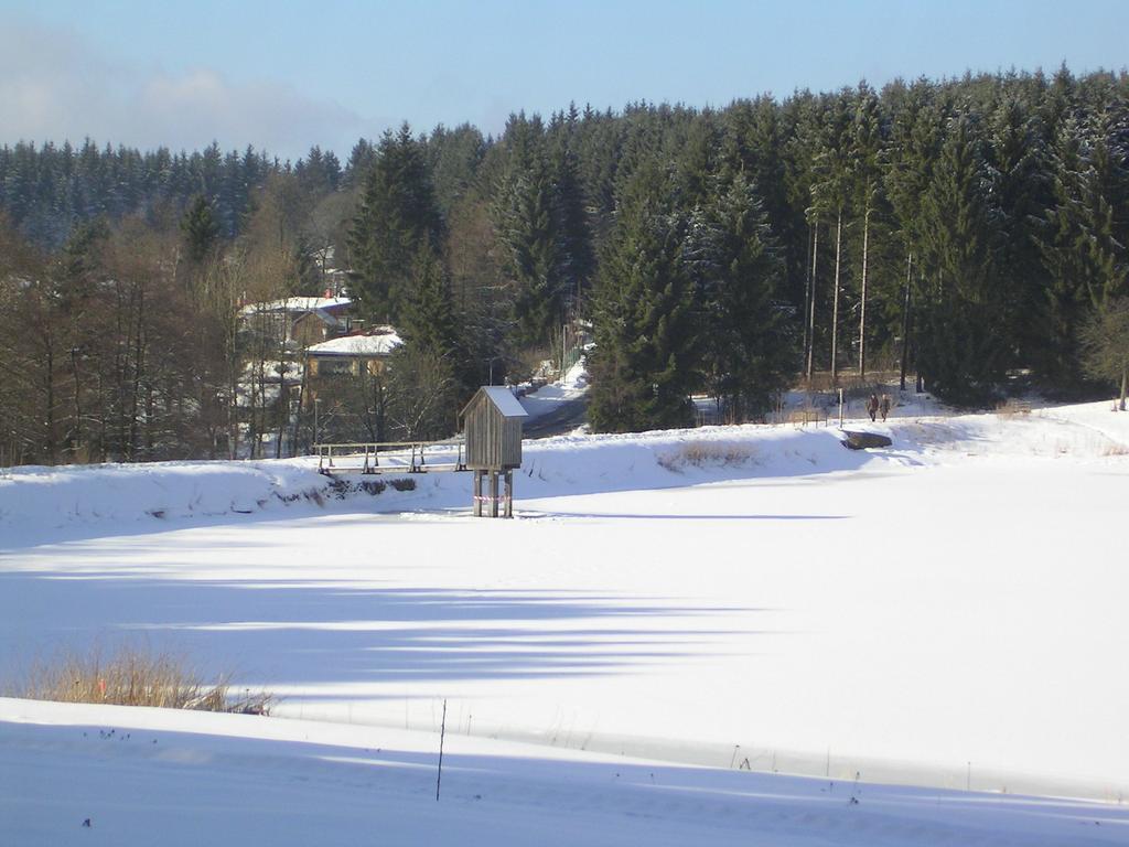 Ferienwohnung Im Harz-Haus-Bruns Clausthal-Zellerfeld Rum bild