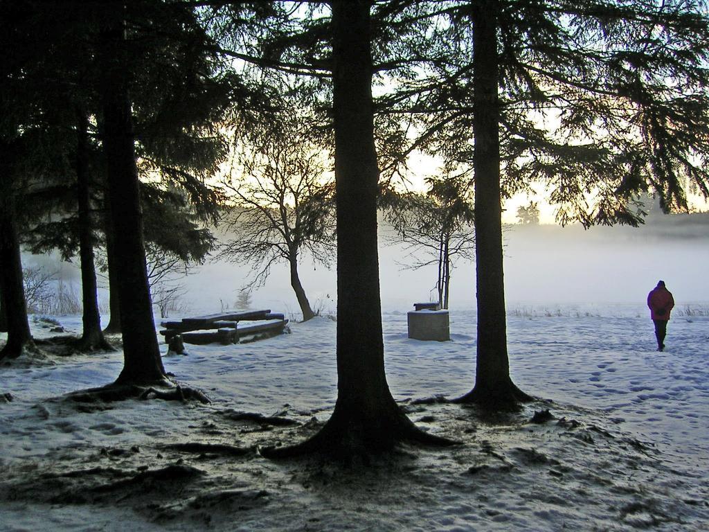 Ferienwohnung Im Harz-Haus-Bruns Clausthal-Zellerfeld Rum bild