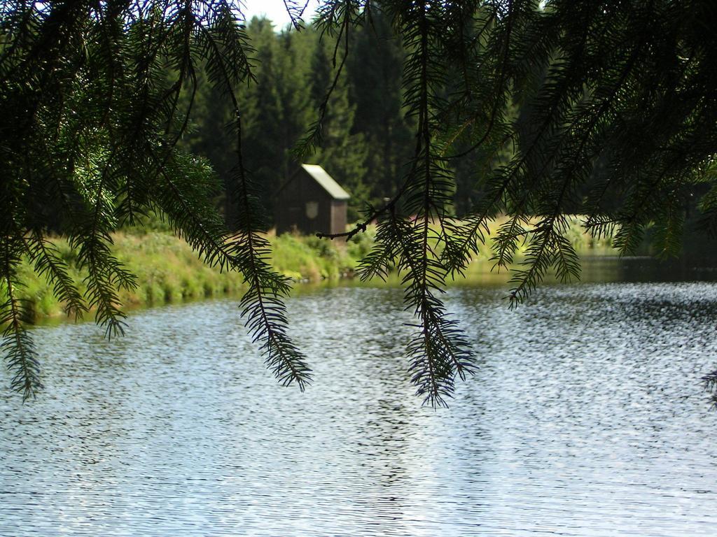 Ferienwohnung Im Harz-Haus-Bruns Clausthal-Zellerfeld Rum bild