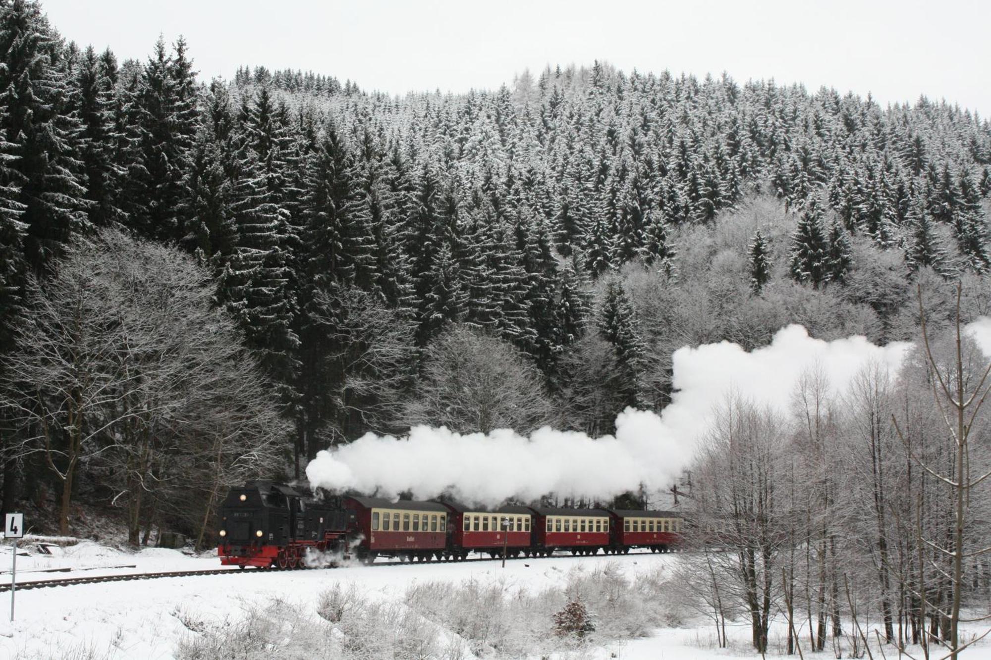 Ferienwohnung Im Harz-Haus-Bruns Clausthal-Zellerfeld Exteriör bild