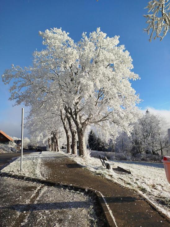 Ferienwohnung Im Harz-Haus-Bruns Clausthal-Zellerfeld Exteriör bild